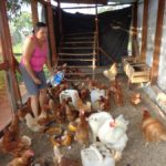 Mejoramiento de gallinero familia Yesenia Alfaro