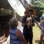 Hannia Araya comunidad de Rio Magdalena presenta su nuevo gallinero